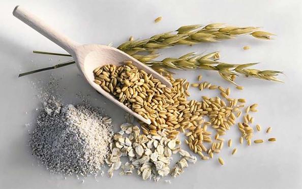 سفارش عمده جو بوکان