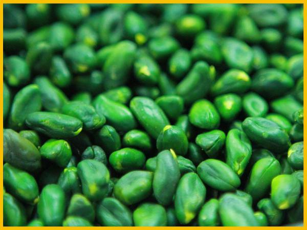 بررسی بازار داخلی جو سبز عمده