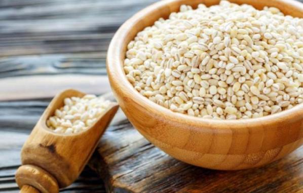 استفاده از جو برای چاقی دامی