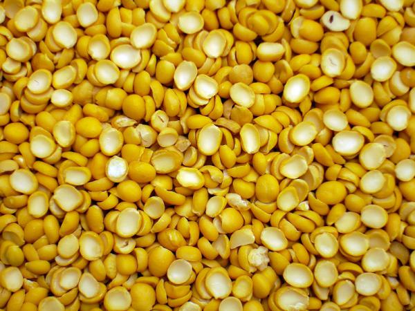 مرکز پخش لپه آذرشهر در تهران