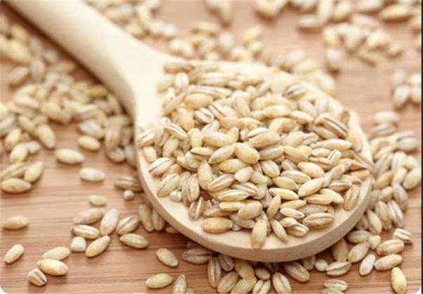 خواص جو خوراکی بندر امام برای سنگ کلیه