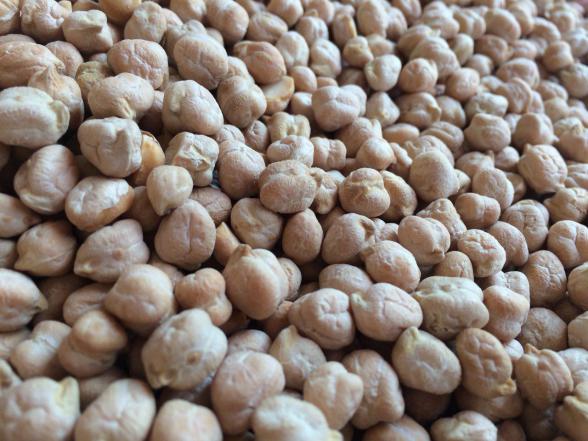 موارد استفاده از نخود سفید