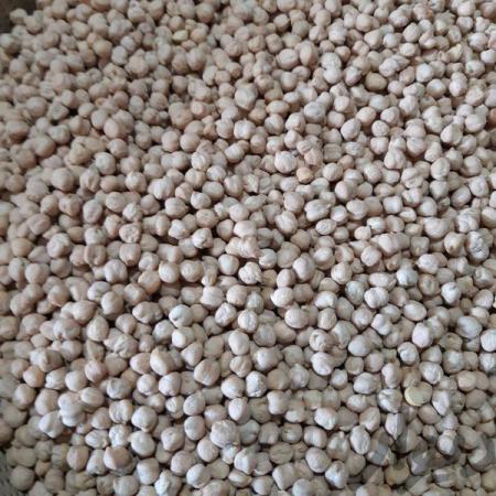 طرز تهیه فلافل با نخود سفید