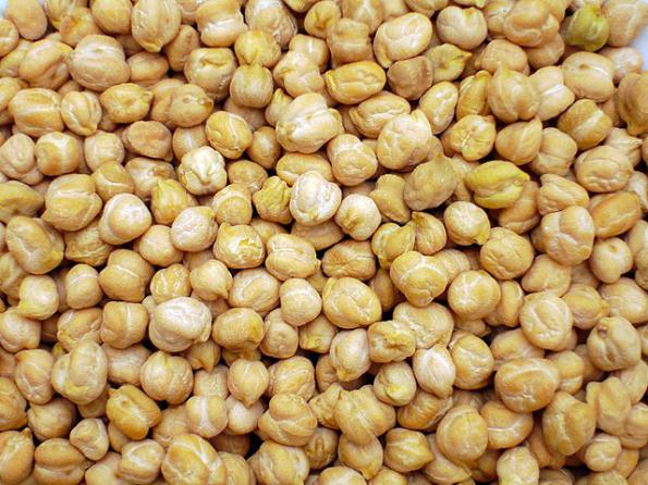 تولید کنندگان نخود سفید ارگانیک