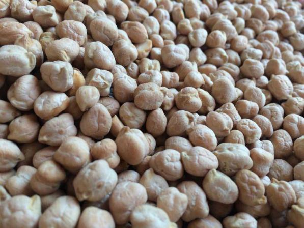 خواص نخود برای سلامتی زنان