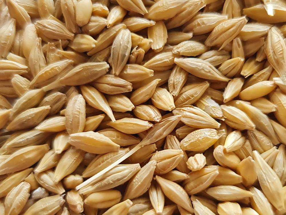 از خواص جو محلی بوکان چه می دانید؟