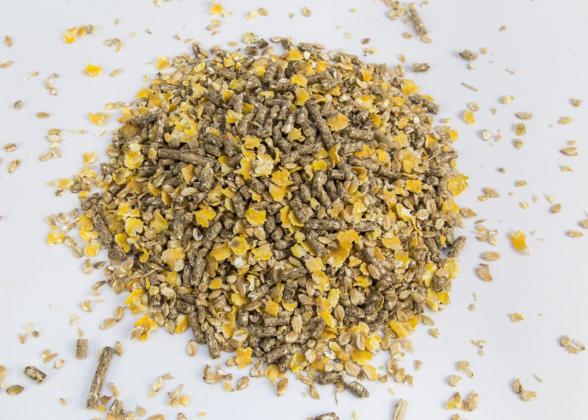 فروش خوراک گاو گوشتی ارزان قیمت