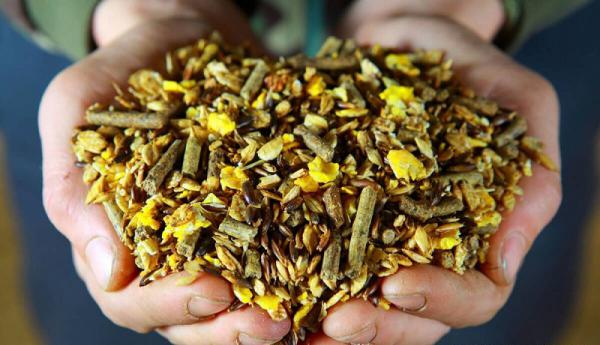 بهترین خوراک گاو گوشتی چیست؟