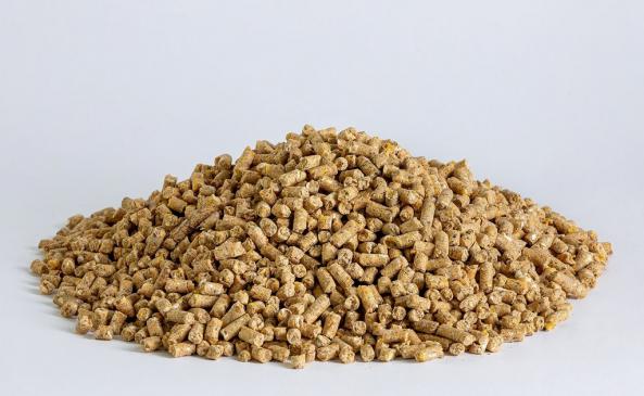 خرید خوراک دام ارزان قیمت