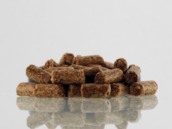 آشنایی با انواع خوراک دام نیشابور