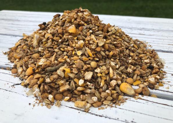 بهترین خوراک دام گوسفندی چیست؟