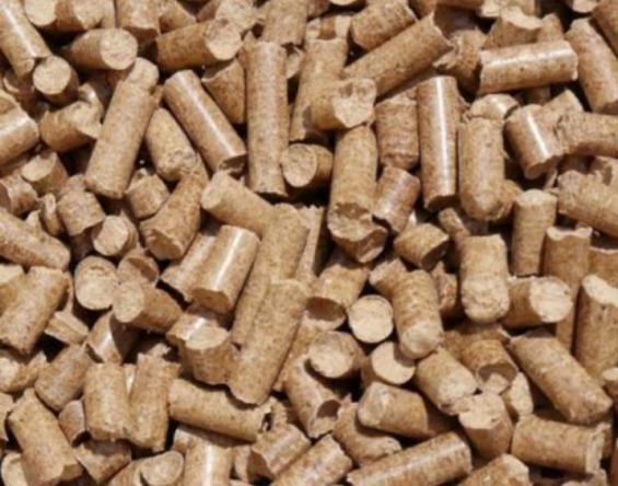 فروش خوراک دام گوشتی عمده