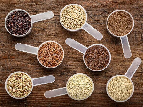 شرکت فروش خوراک دام نیشابور