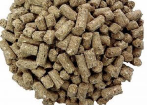 مرکز خرید خوراک دام گوسفندی