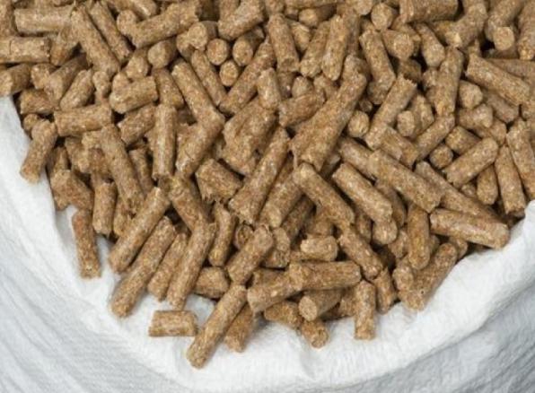 مزایای خوراک کنسانتره گاو شیری