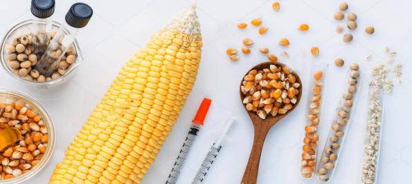 نکات کلیدی در خرید خوراک دام شیری