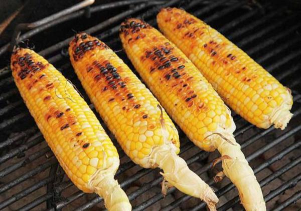 معرفی انواع ذرت و کاربرد آن ها