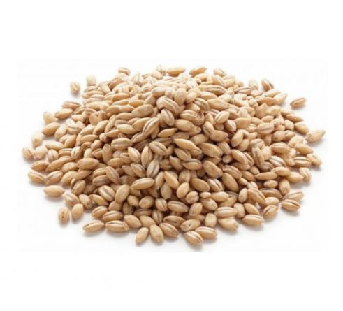 جلوگیری از دیابت نوع دو با مصرف کنجد