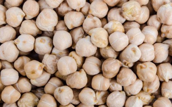 شرایط مساعد محیطی برای کشت بذر نخود