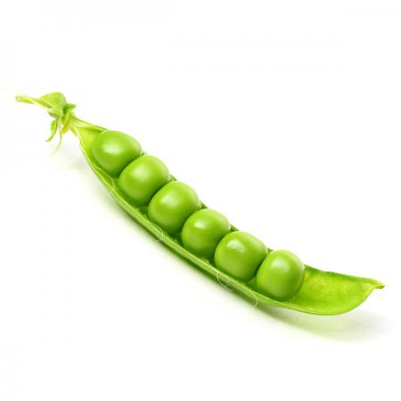 قیمت تمام شده بذر نخود ایرانی