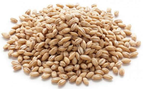 توصیه های لازم برای تهیه گندم بذر مرغوب
