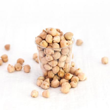 شرکت توزیع بذر نخود درجه 1