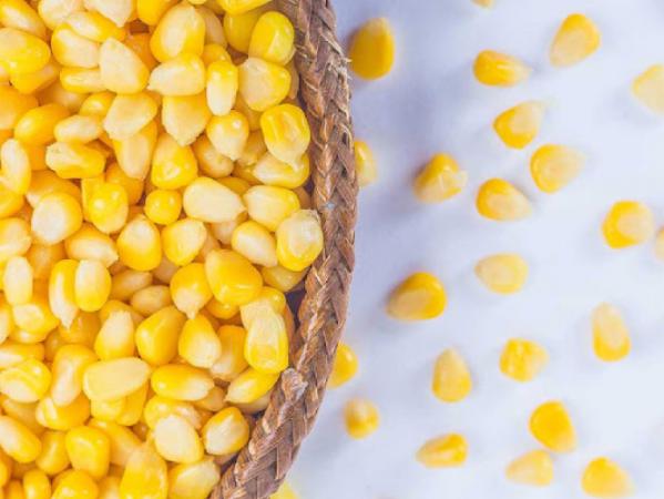 مراکز توزیع ذرت 30 کیلویی