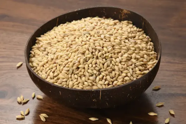 تولید کننده جو دامی خارجی