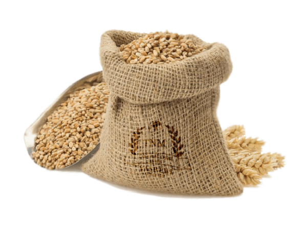 بهترین شرایط برای نگهداری جو داخلی چیست؟