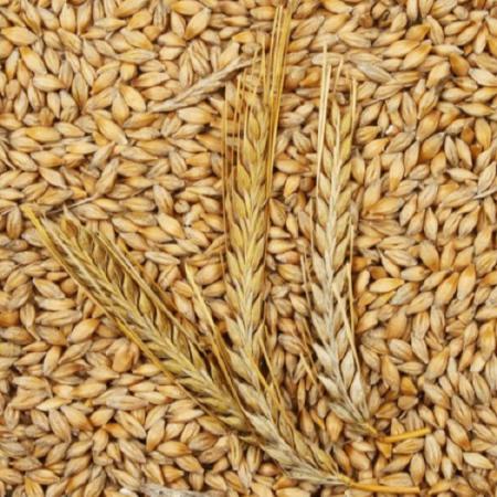 عوامل موثر بر قیمت جو دامی داخلی چیست؟