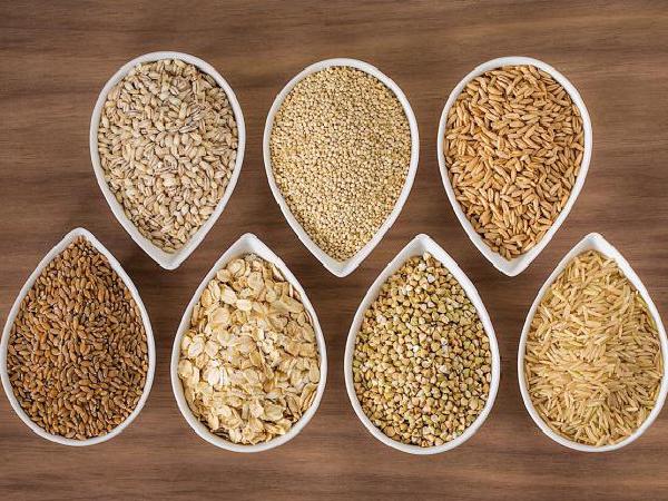 راهنمای تهیه بهترین جو بوکان برای دام