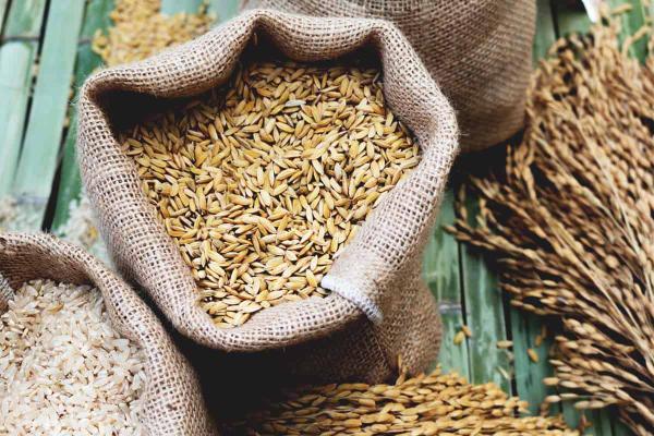 جو داخلی مرغوب چه ویژگی هایی دارد؟