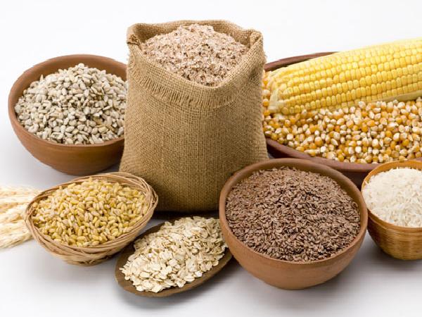 خرید ویژه جو دامی بوکان با قیمت تولید