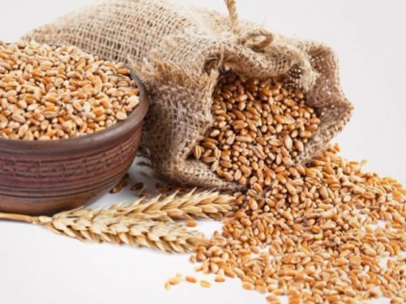 راهنمای تهیه آسان انواع جو داخلی باکیفیت