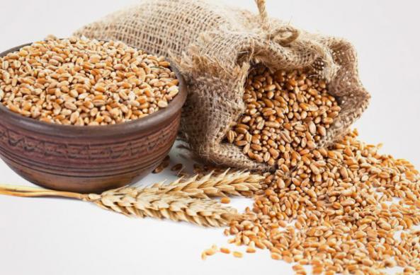 جو دامی درجه یک پیرانشهر چه ویژگی دارد؟