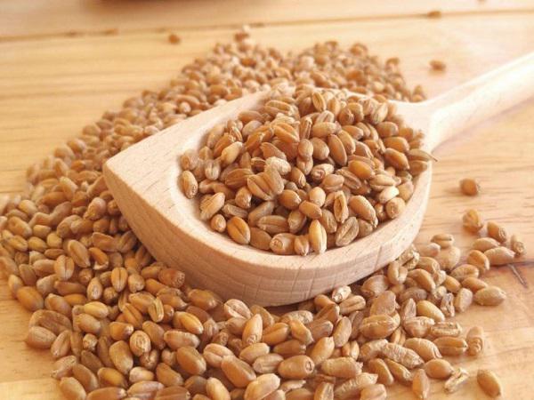 علت محبوبیت جو روس درجه یک