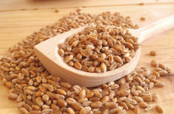 مشخصات بارز جو داخلی خشک مرغوب چیست؟