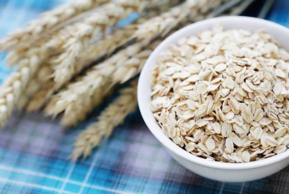 کشت جو داخلی خشک در خراسان شمالی