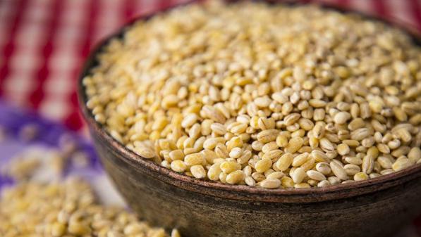 مشخصات انواع جو دامی کیسه ای مرغوب