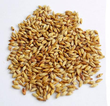 انواع جو داخلی در خصوص واکنش به دما