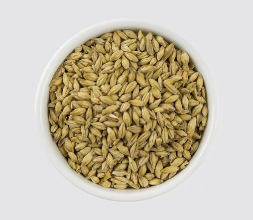 3 نکته مهم هنگام انتخاب جو دامی پیرانشهر