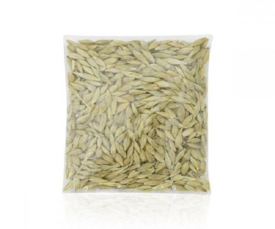 عمده فروشی جو دامی ارزان بسته بندی