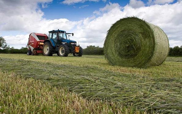 مزایای سیلاژ علوفه ای چیست؟