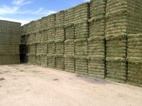 عوامل موثر بر قیمت سیلاژ علوفه ای