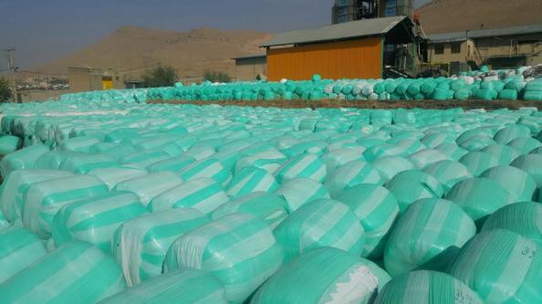 صادرکننده سیلاژ ذرت باکیفیت