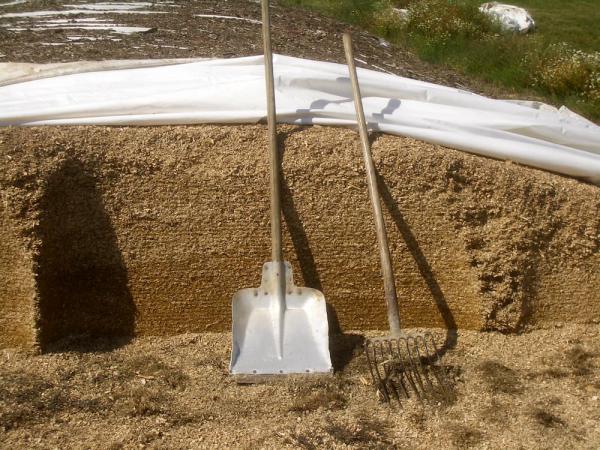 ویژگی سیلاژ خوب چیست؟