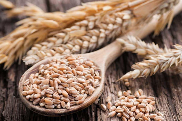 داهات بوکان